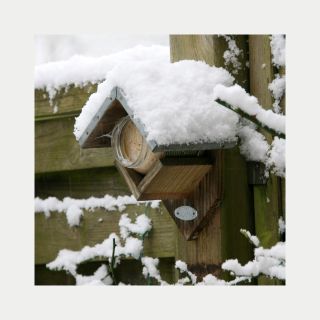 ❄️🐦 Vy máte po svátcích plná bříška… ale někdo venku ne. Zima je pro ptáčky tím nejtěžším obdobím a právě teď potřebují...