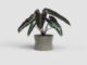 Květináč DIANA, 20cm, keramika, šedá|TAUPE  (ZAC-848632)