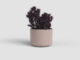 Květináč JUNO, 14cm, keramika, sv.růžová|LIGHT PINK  (ZAC-848731)