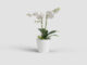 Květináč PORTO, na orchidej, 15cm, plast, bílá|WHITE  (ZAP-818826)