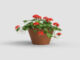 Květináč SARAMAGO pr.17x13cm, NATURAL, terakota  (ZAT-T0000SRM01740004)