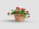 Květináč SARAMAGO pr.17x13cm, ANTIQUE, terakota  (ZAT-T0000SRM01740104)