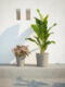 Květináč MANUEL pr.28x25cm, NATURAL, terakota  (ZAT-T0020MAN02840004)