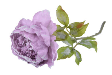 Květina Pivoňka, fialová zasněžená, 77cm  (ZDP-25111-17)