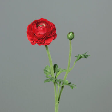 Květina Pryskyřník květ/poupě, červená, 50cm  (ZDP-43578-02)