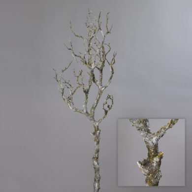 Dekorace Větev, šedá, 90cm  (ZDP-54764)