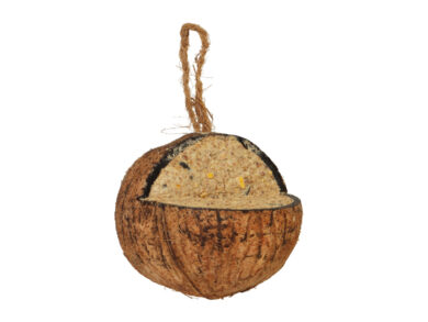 Krmení pro ptáčky v kokosu, závěsné  (ZEE-FB905)