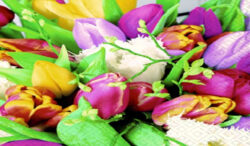 Ubrousky 3V - barevné tulipány 25x25cm - Popis se připravuje - možno na dotaz