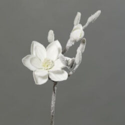 Květina Magnólie, bílá zasněžená, 43cm - Popis se připravuje - možno na dotaz