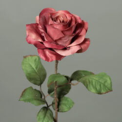 Květina Růže, růžová-tmavá, 62cm - Popis se připravuje - možno na dotaz