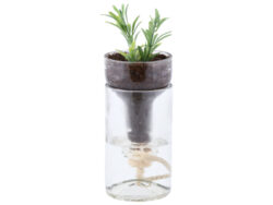 Pěstírna se samozávlahou - Pěstírna rostlin do interiéru se samozavlažovacím systémem. Rozměr v cm (ŠxHxV): 7,5x7,5x21. Obsah: neuvádí se. Materiál: sklo, bavlna, korek.