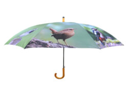 Deštník s ptáčky - Detnky Esschert Design: praktick, stylov, originln. Rzn motivy, barvy, funkce. Uijte si prochzku v deti ve stylu.