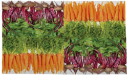 Ubrousky Zelenina - Objednejte si ekologické a stylové jednorázové nádobí a ubrousky značky Esschert Design, holandského výrobce zahradních produktů.