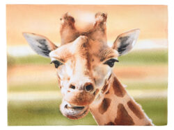 Ubrousky žirafa - Balení 20-ti ks papírových ubrousků. V hedvábném zpracování s barevným potiskem hlavy žirafy. 3-vrstvé. Rozměr v cm (ŠxHxV): 16,5x16,5x2,3. Obsah: neuvádí se. Materiál: hedvábný papír (3 vrstvy).