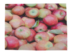 Ubrousky Jablka - Objednejte si ekologické a stylové jednorázové nádobí a ubrousky značky Esschert Design, holandského výrobce zahradních produktů.