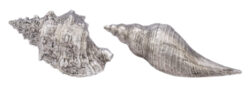 Dekorace Mušle, stříbrná, 15,5x10x8cm, 2T - Popis se připravuje - možno na dotaz
